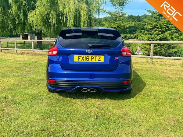 Used Ford Focus 2016 for sale - 75024891: Photo 6