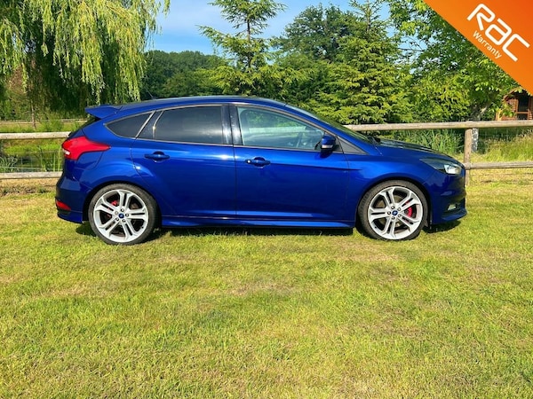 Used Ford Focus 2016 for sale - 75024891: Photo 7