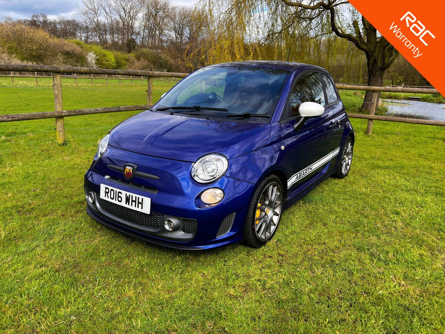 Used Abarth 595 2016 for sale - 78125533: Photo 3