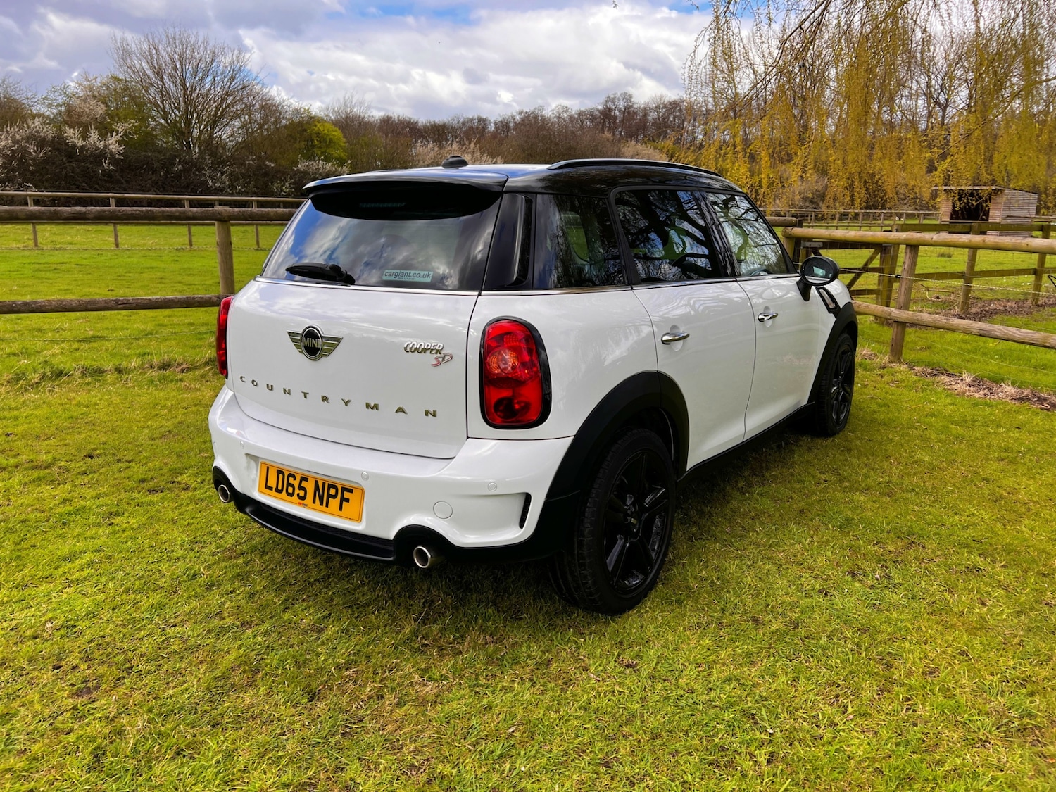 Used MINI Countryman 2015 for sale - 78054431: Photo 4