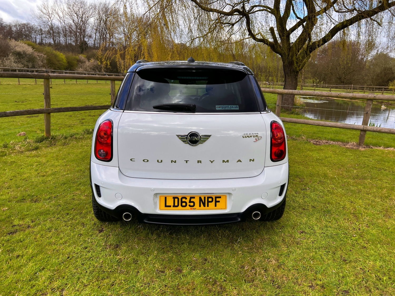 Used MINI Countryman 2015 for sale - 78054431: Photo 5