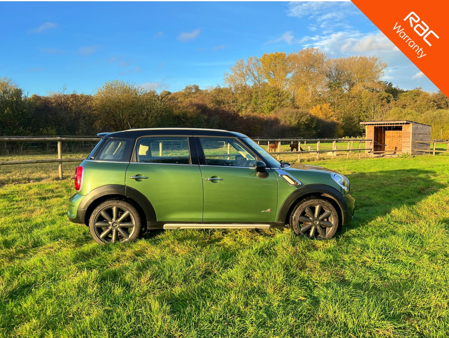 Used MINI Countryman 2015 for sale - 77118783: Photo 7