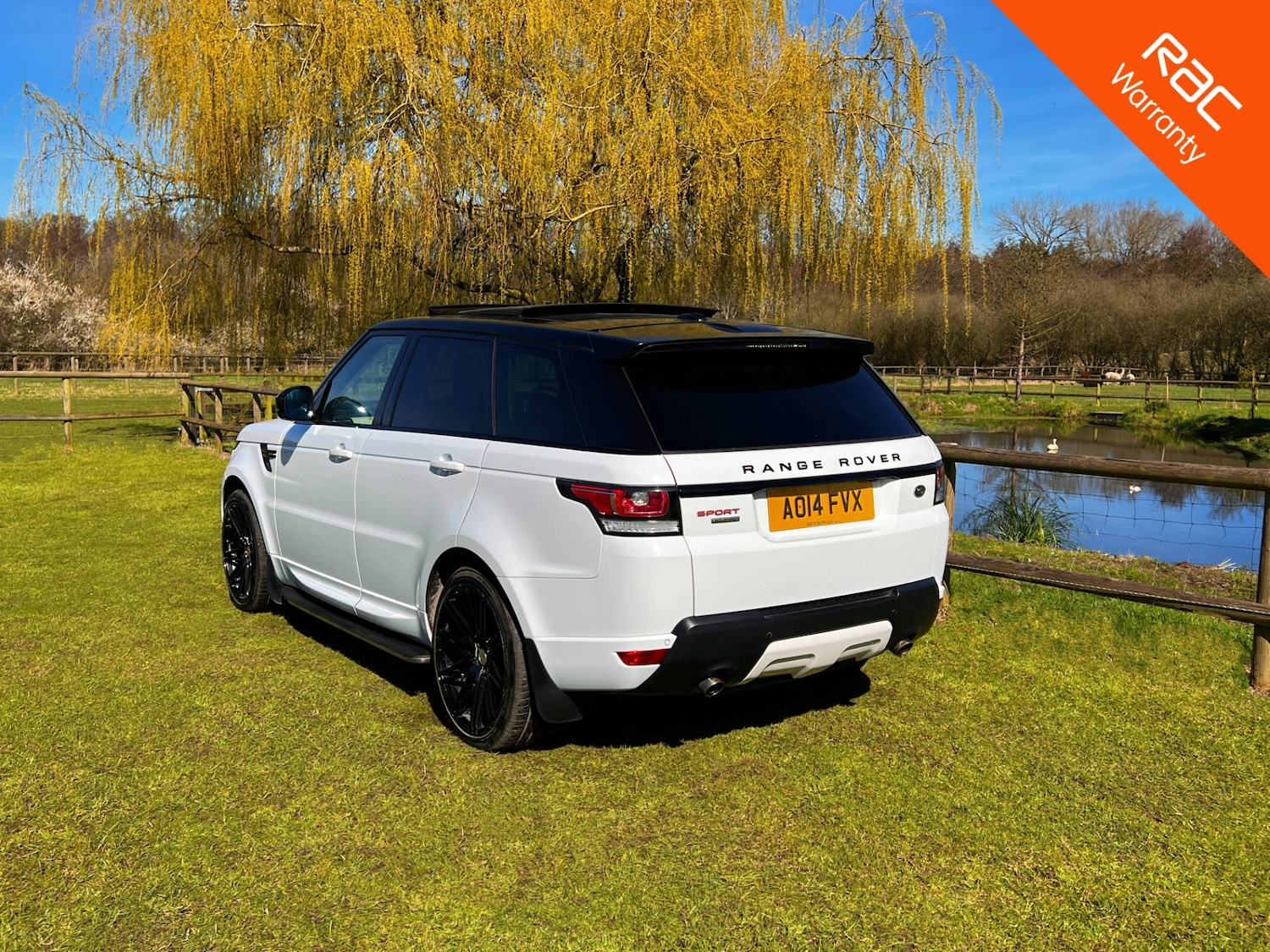 Used Land Rover Range Rover Sport 2014 for sale - 77977314: Photo 6