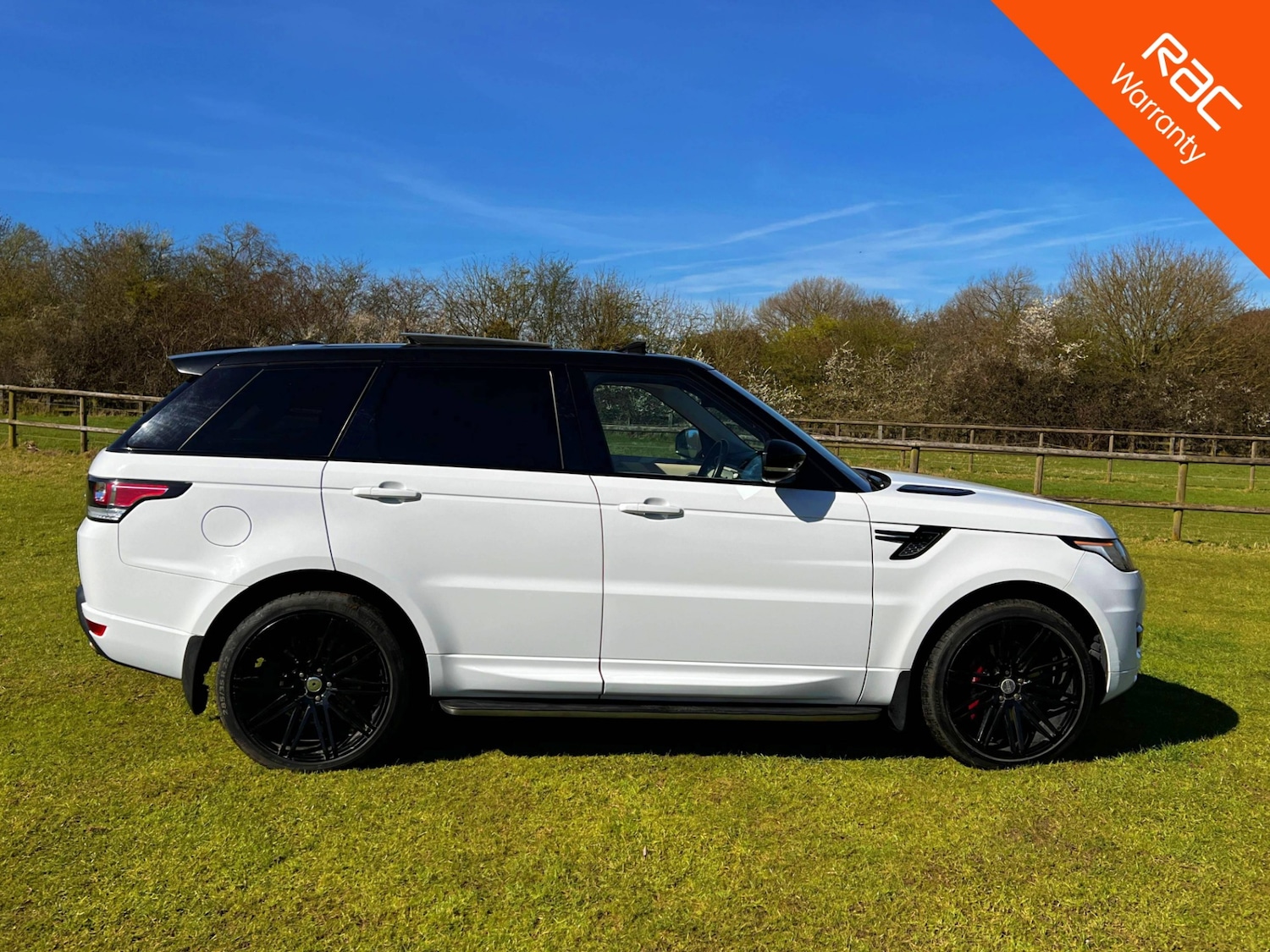 Used Land Rover Range Rover Sport 2014 for sale - 77977314: Photo 7