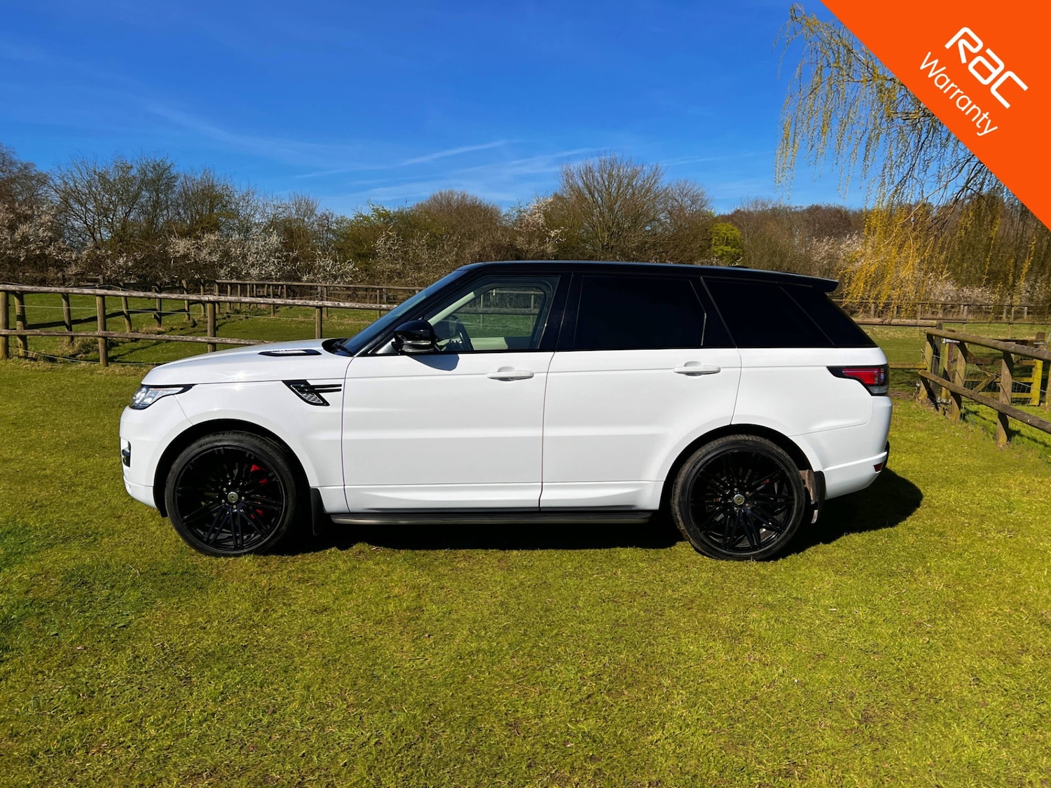 Used Land Rover Range Rover Sport 2014 for sale - 77977314: Photo 8