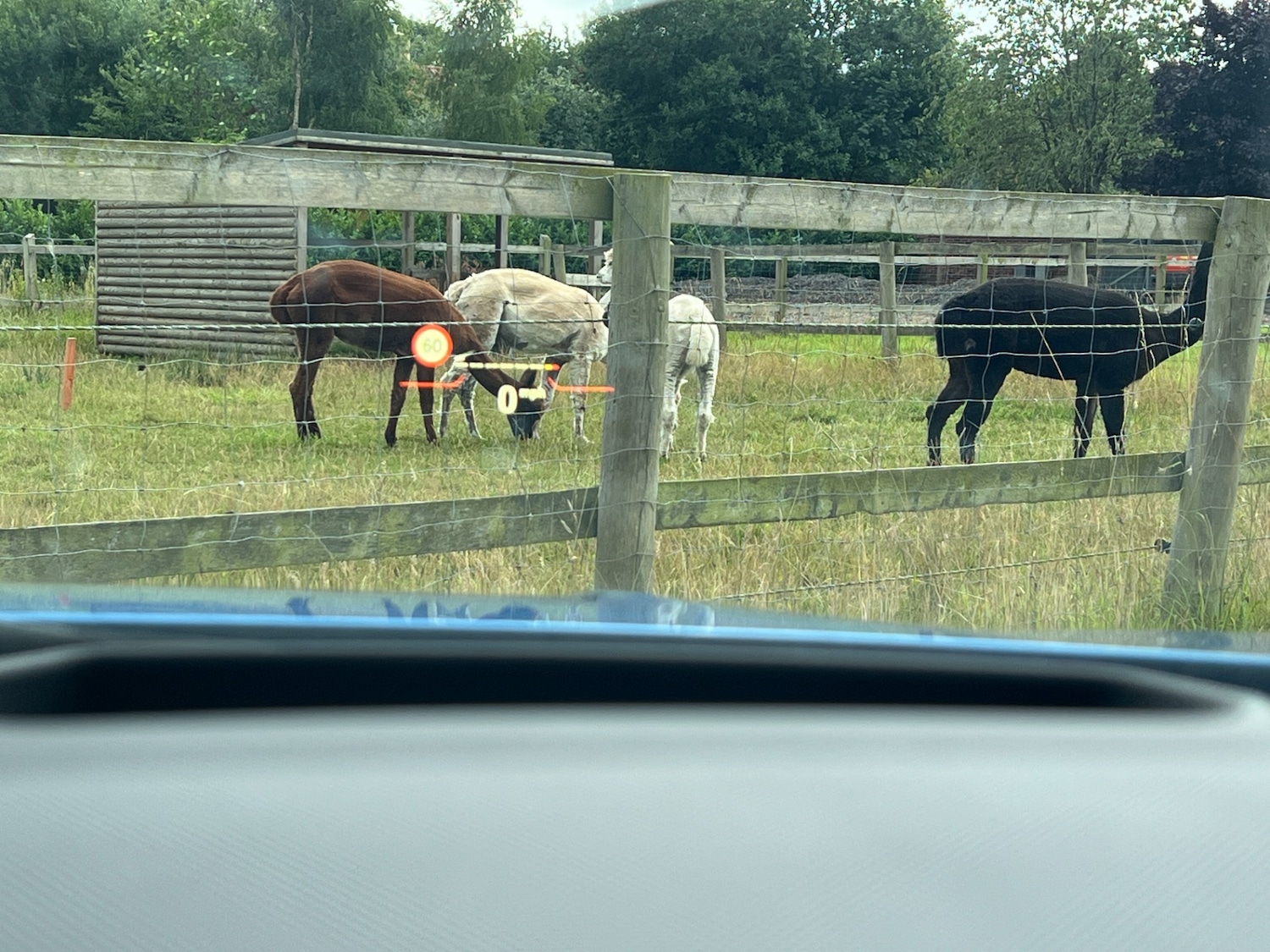 Used BMW 1 Series 2020 for sale - 77478310: Photo 15