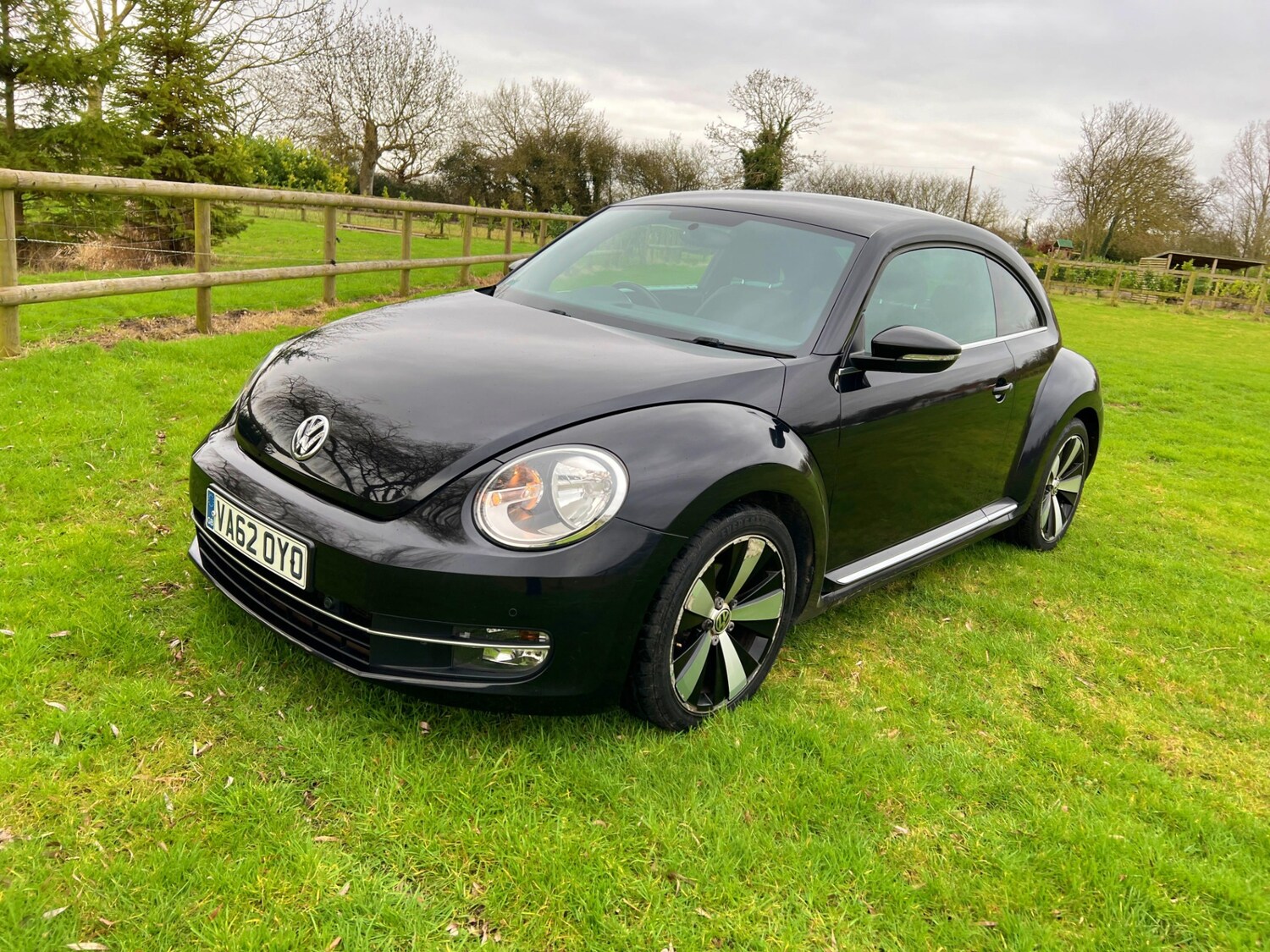 Used Volkswagen Beetle 2013 for sale - 77645670: Photo 3
