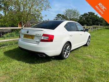 Used Skoda Octavia 2014 for sale - 78740667: Photo