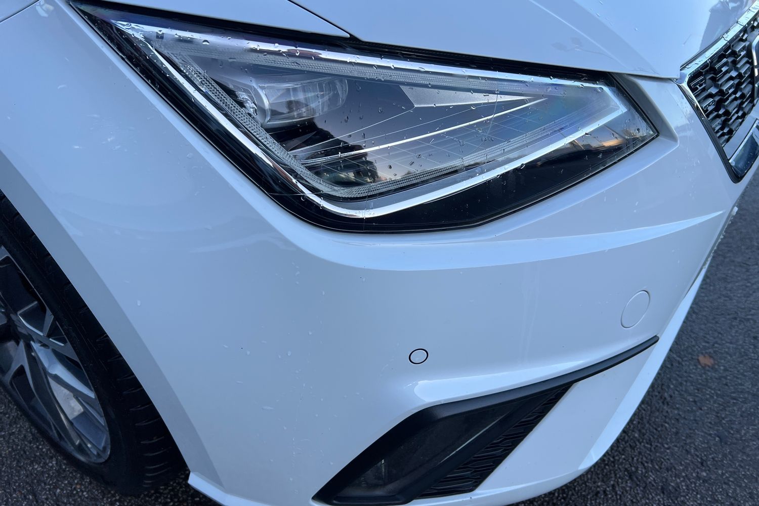 Used SEAT Ibiza 2021 for sale - 76683887: Photo 38