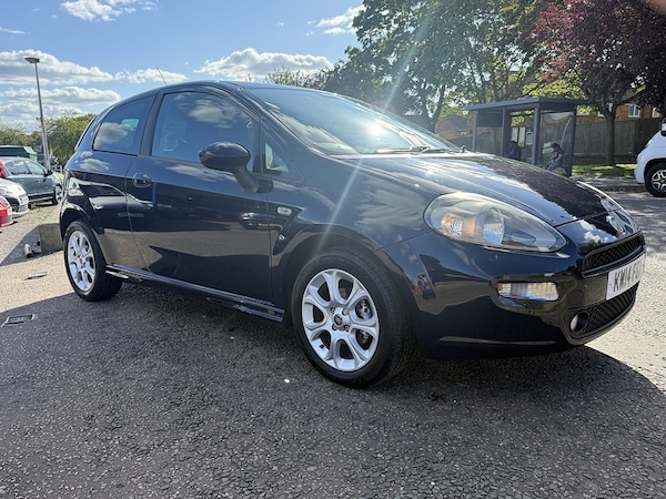 Used Fiat Punto 2014 for sale - 74626147: Photo 3