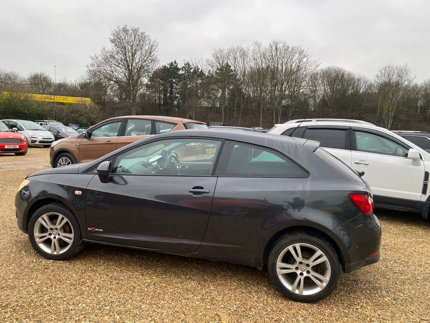 Used SEAT Ibiza 2011 for sale - 77015341: Photo 3