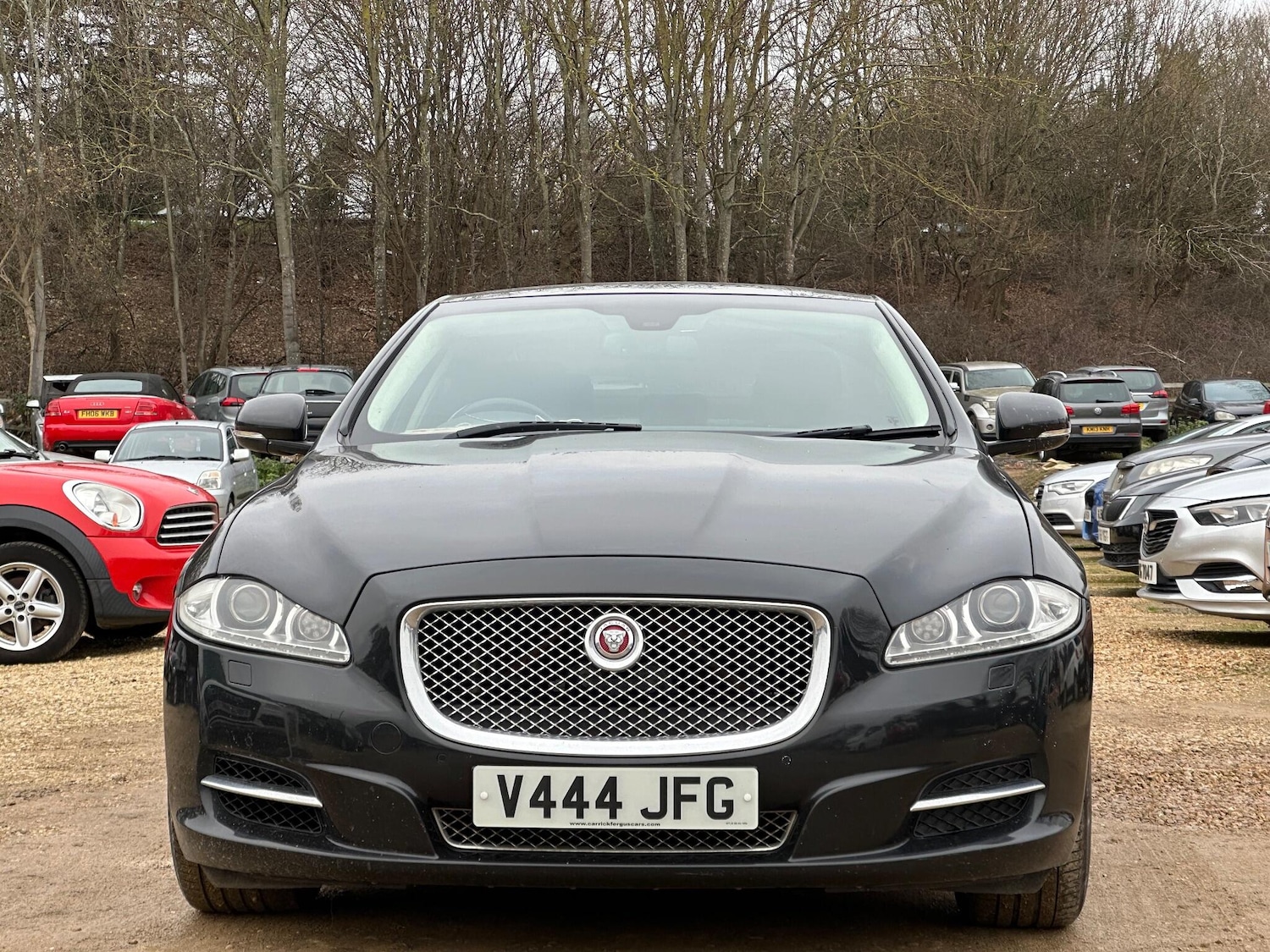 Used Jaguar XJ 2014 for sale - 77066528: Photo 2
