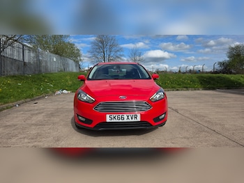 Used Ford Focus 2016 for sale - 78202275: Photo