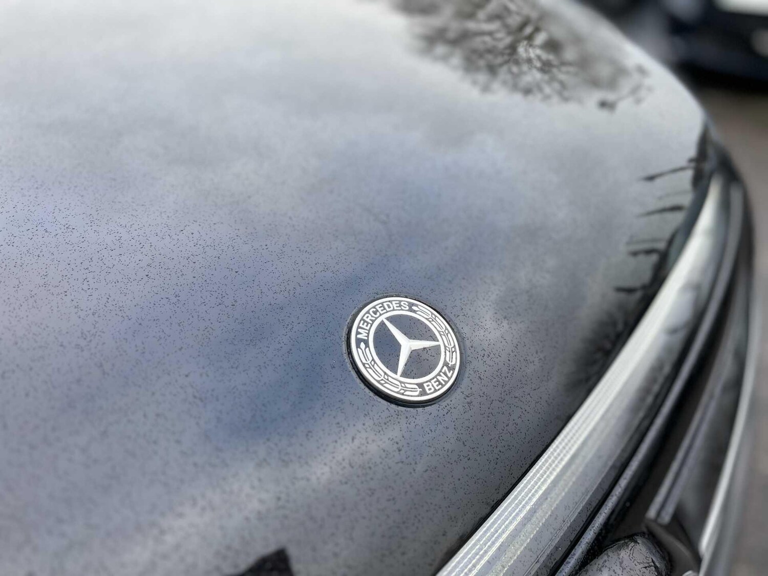 Used Mercedes-Benz EQC 2023 for sale - 77604602: Photo 17