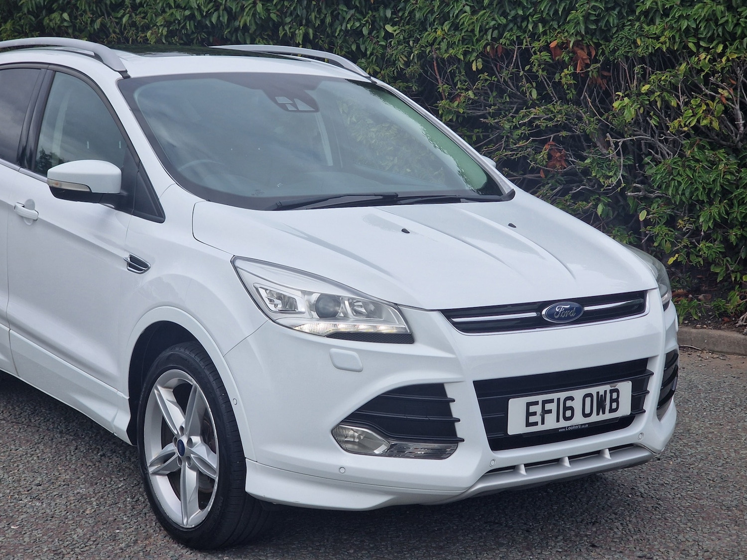 Used Ford Kuga 2016 for sale - 76198729: Photo 25