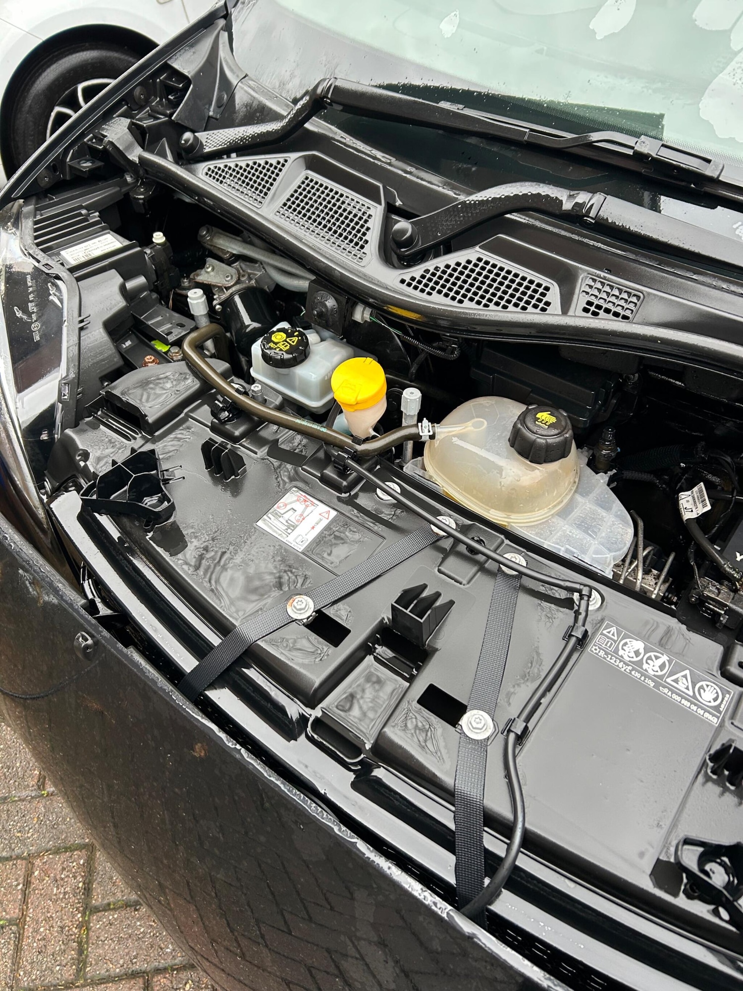 Used smart fortwo 2018 for sale - 77103383: Photo 15