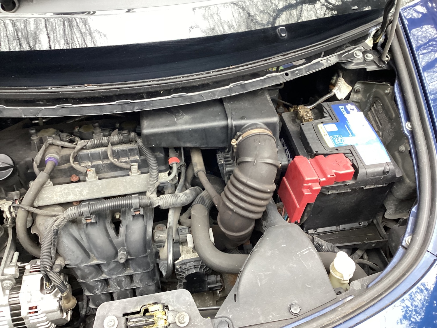 Used smart forfour 2005 for sale - 77555390: Photo 15