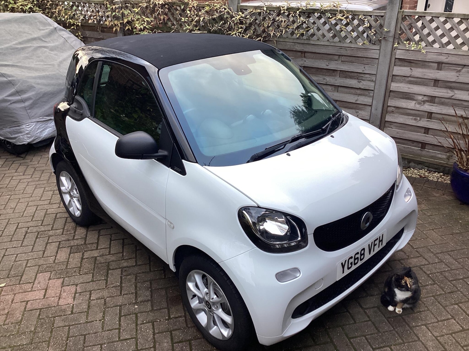 Used smart fortwo 2018 for sale - 77029463: Photo 4