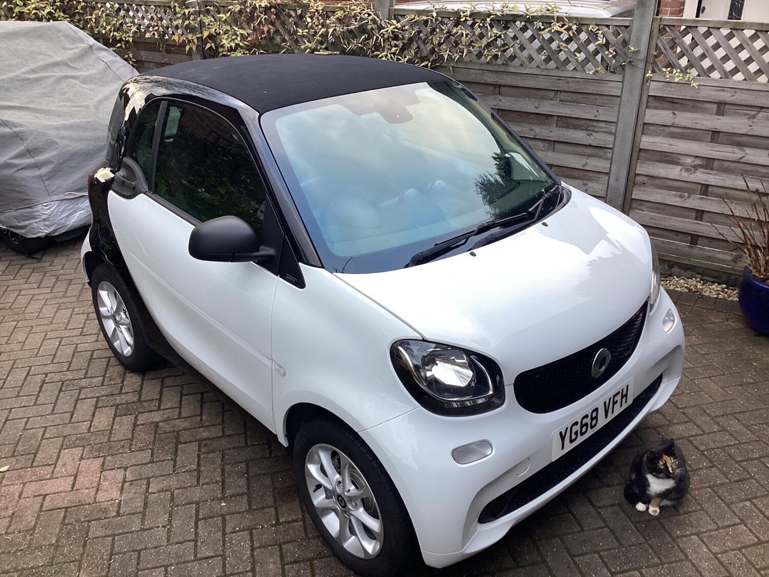 Used smart fortwo 2018 for sale - 77103387: Photo 4