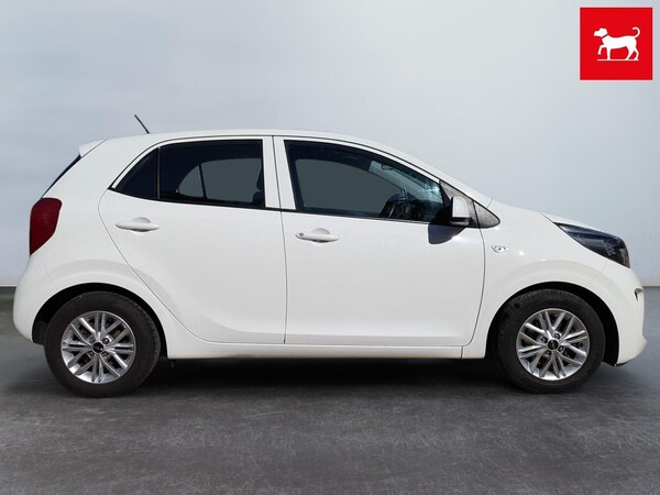 Used Kia Picanto 2023 for sale - 76152494: Photo 5