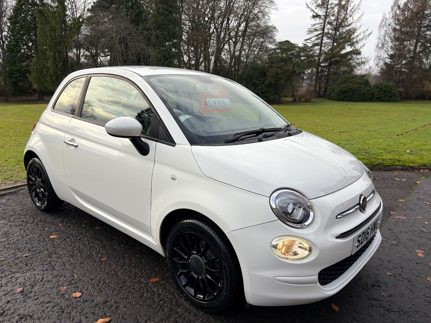 Used Fiat 500 2016 for sale - 76987603: Photo 11