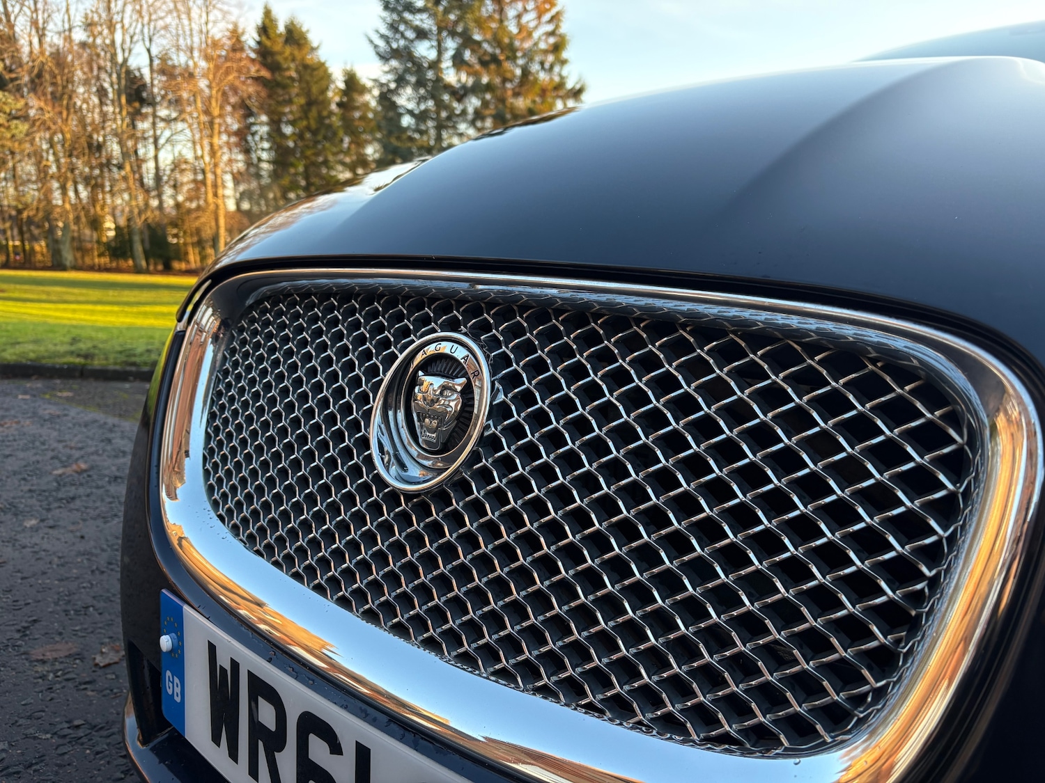 Used Jaguar XF 2011 for sale - 77261698: Photo 7