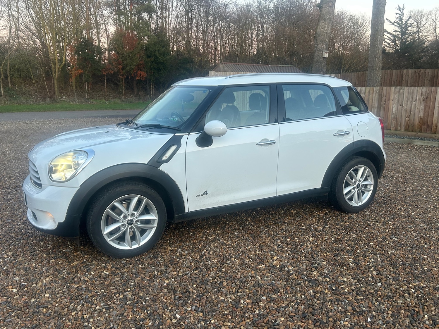Used MINI Countryman 2010 for sale - 76932348: Photo 7