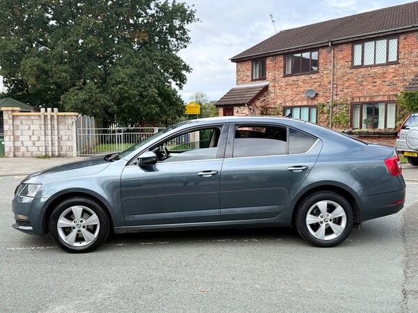 Used Skoda Octavia 2019 for sale - 76006694: Photo 26