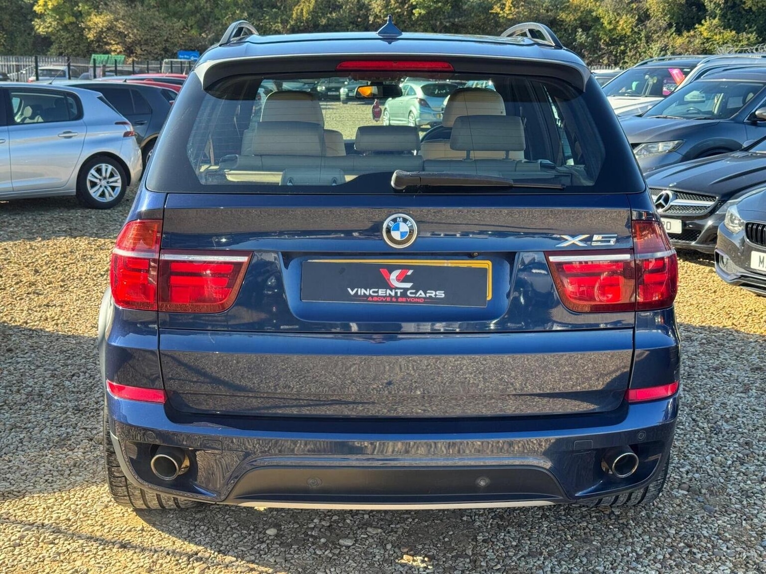 Used BMW X5 2013 for sale - 76178934: Photo 5