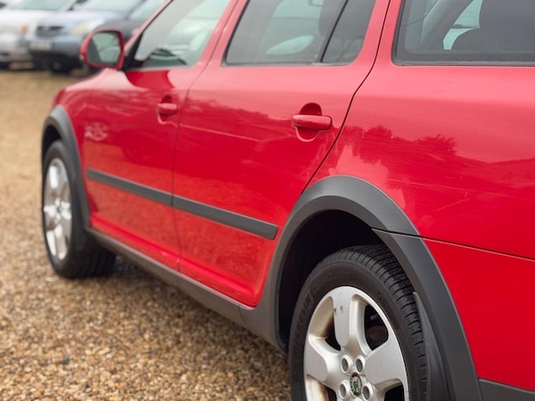 Used Skoda Octavia 2009 for sale - 75667952: Photo 6