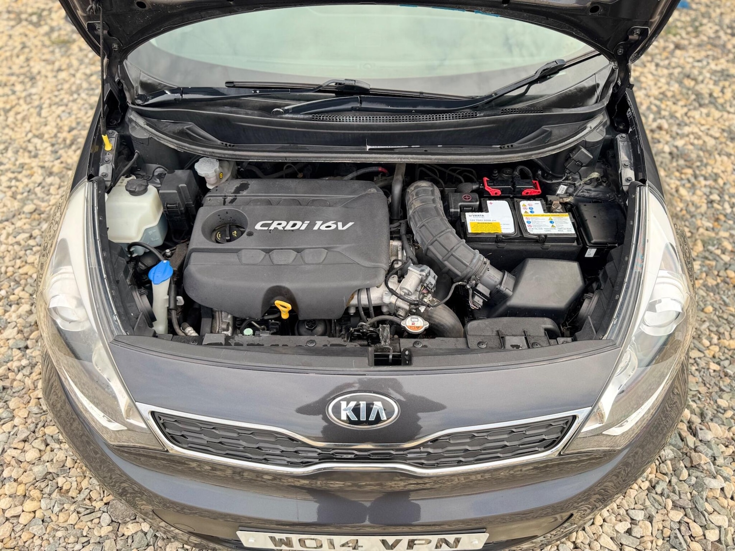 Used Kia Rio 2014 for sale - 76158968: Photo 35
