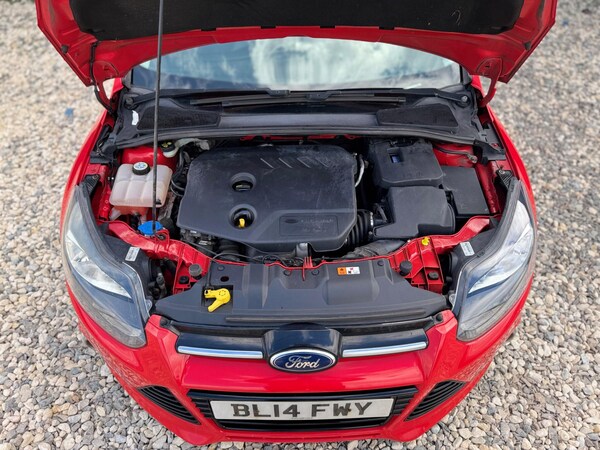 Used Ford Focus 2014 for sale - 75609423: Photo 33