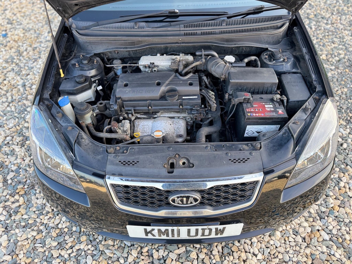 Vehicle 31