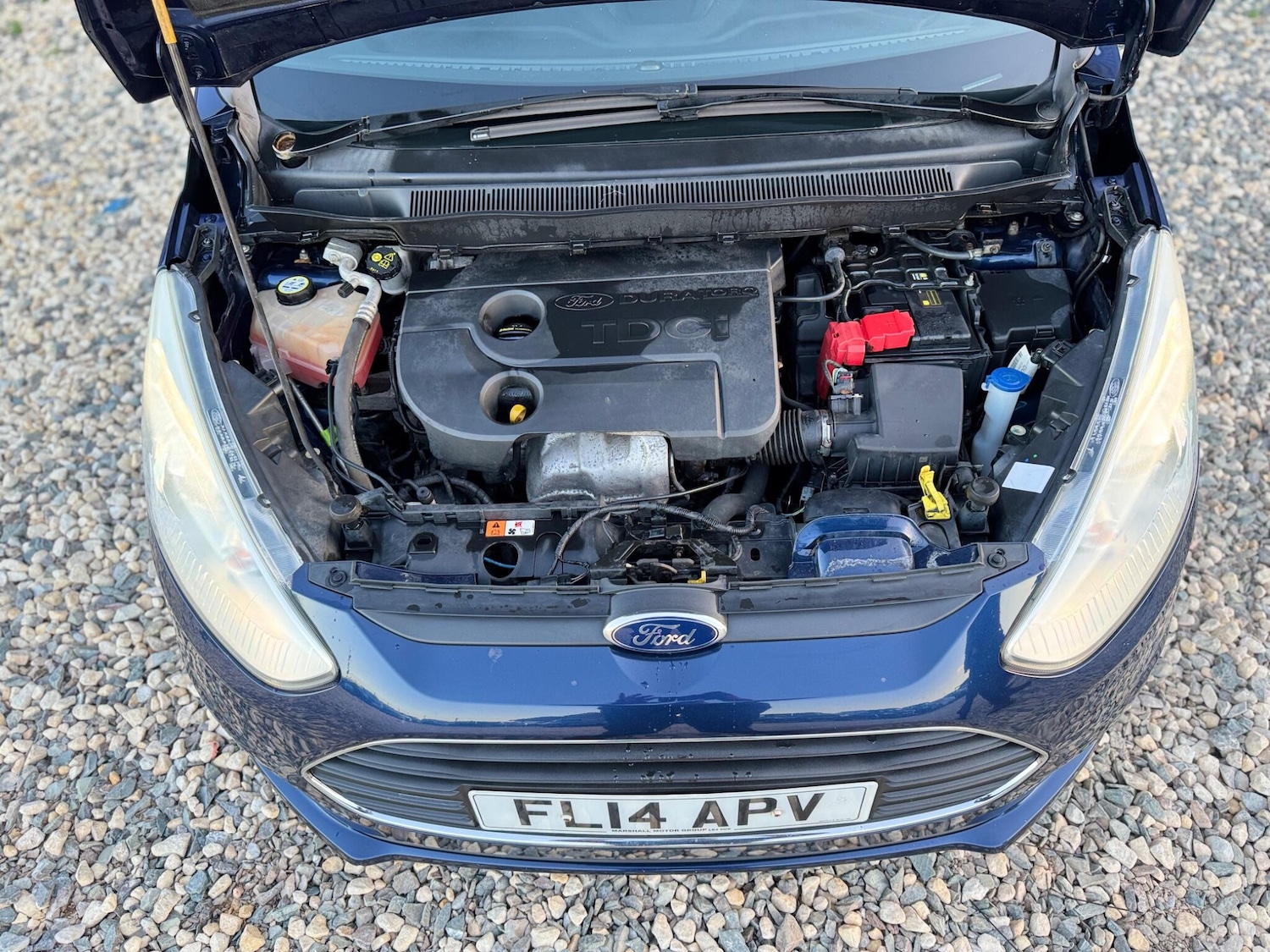Vehicle 31