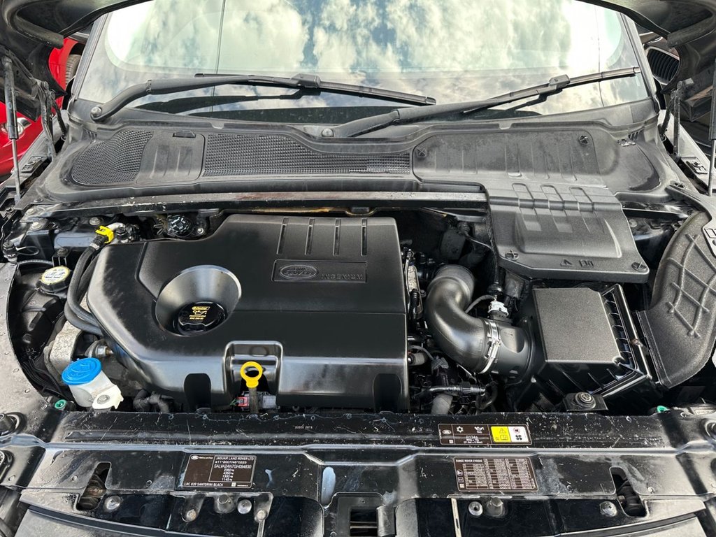 Vehicle 29