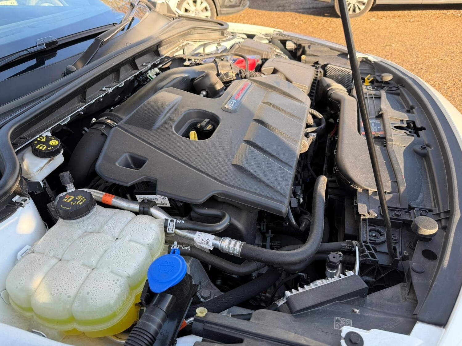 Used Ford Focus 2023 for sale - 76831750: Photo 68