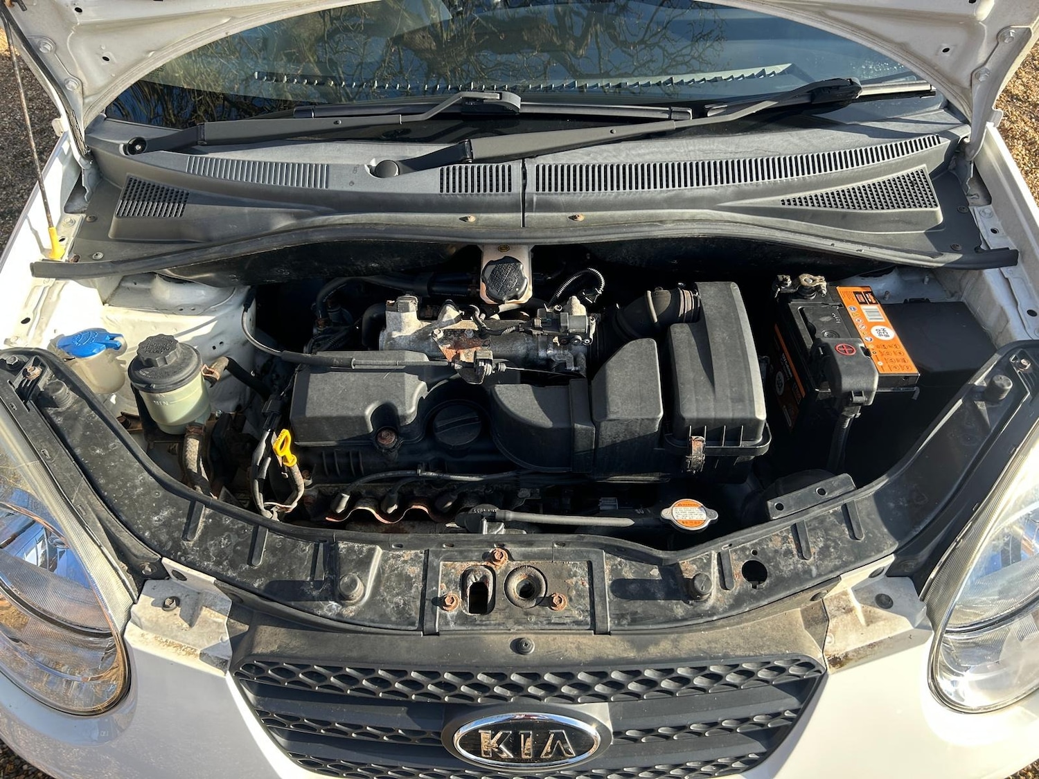 Used Kia Picanto 2009 for sale - 77310941: Photo 42