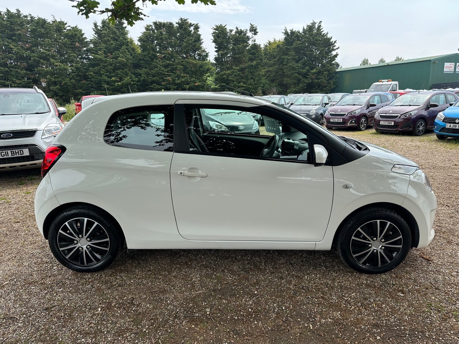Vehicle 6
