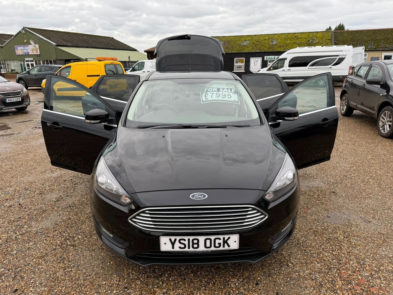 Used Ford Focus 2018 for sale - 76891885: Photo 10