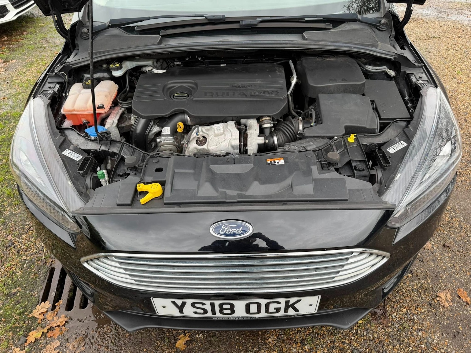 Used Ford Focus 2018 for sale - 76891885: Photo 45