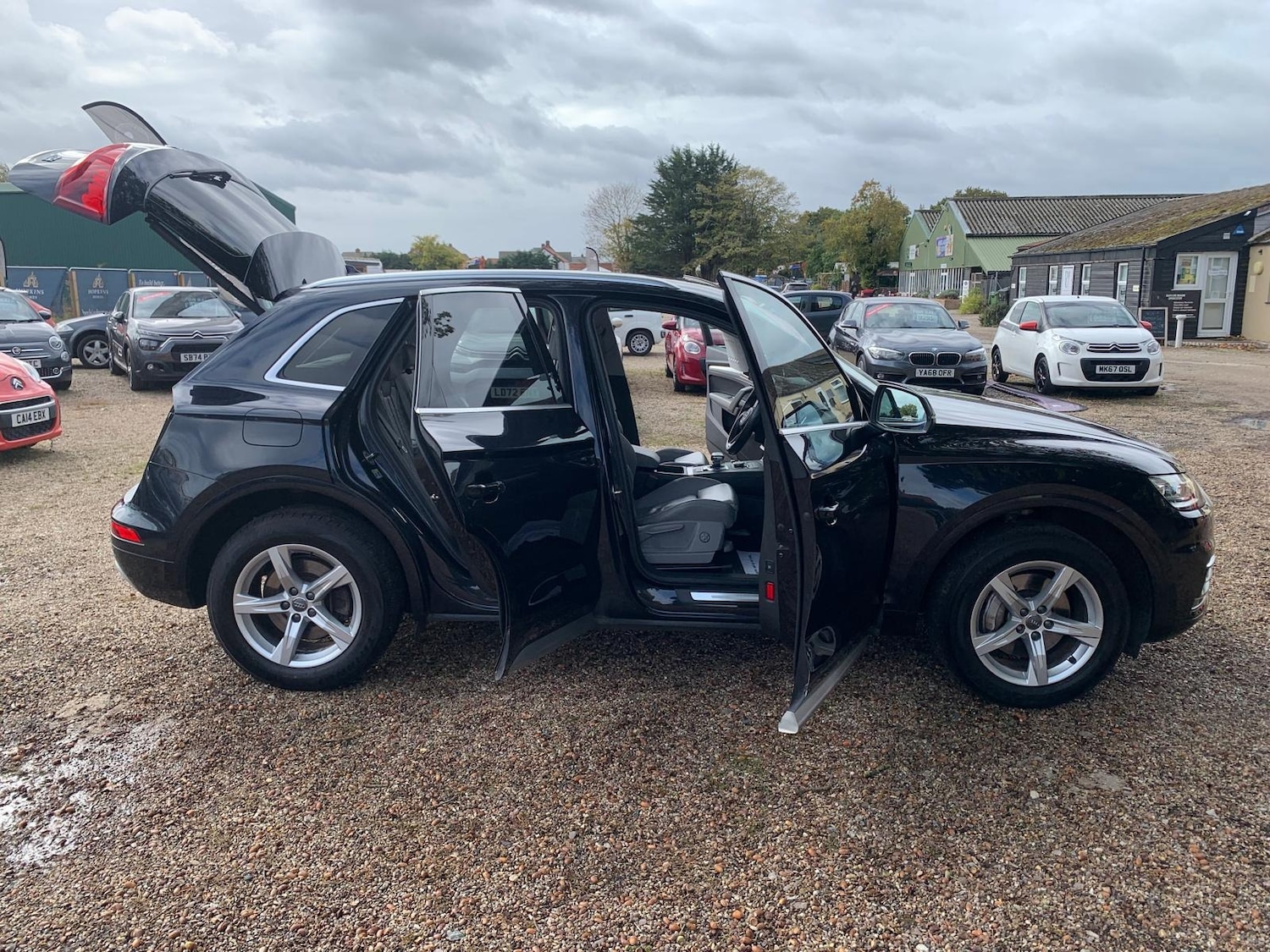 Used Audi Q5 2017 for sale - 76171328: Photo 12