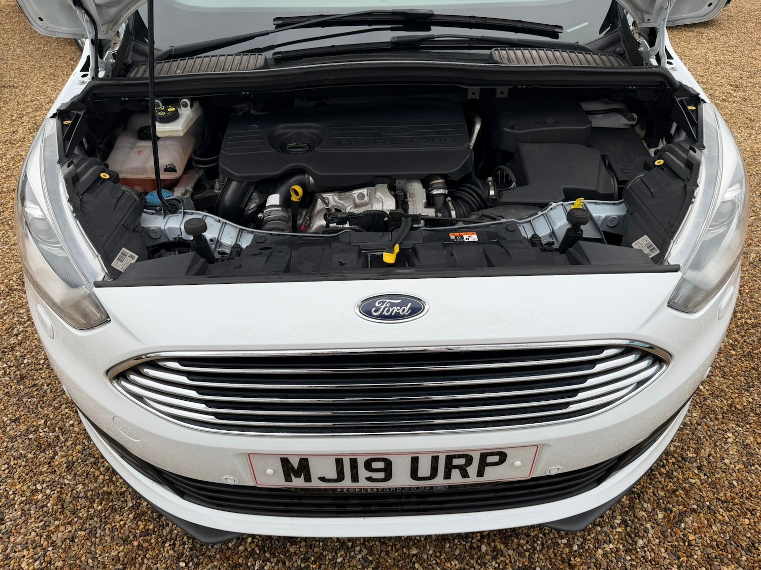 Used Ford C-Max 2019 for sale - 77617350: Photo 54