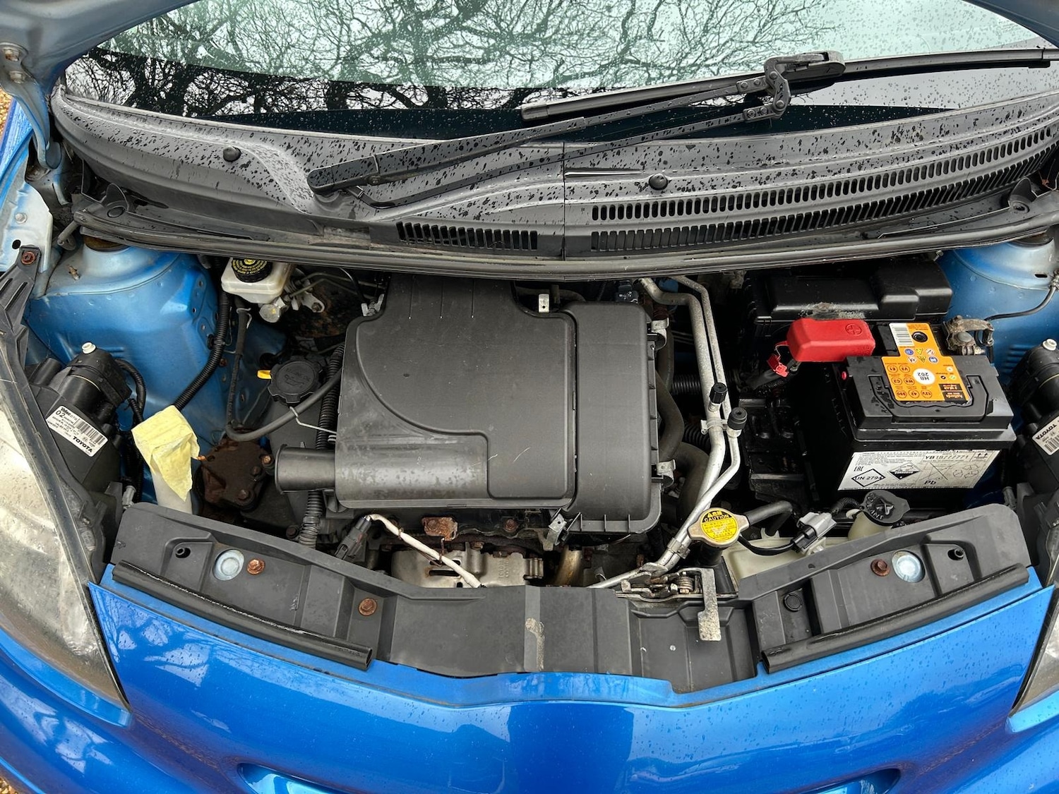 Used Toyota AYGO 2010 for sale - 77298445: Photo 46