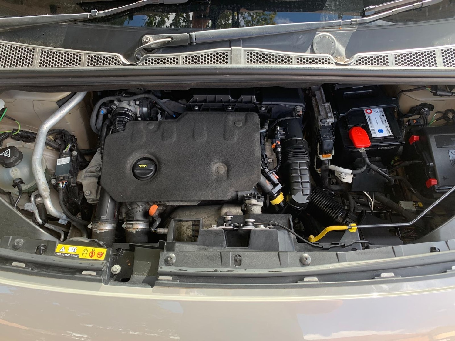 Used Citroen Berlingo 2019 for sale - 75761802: Photo 53