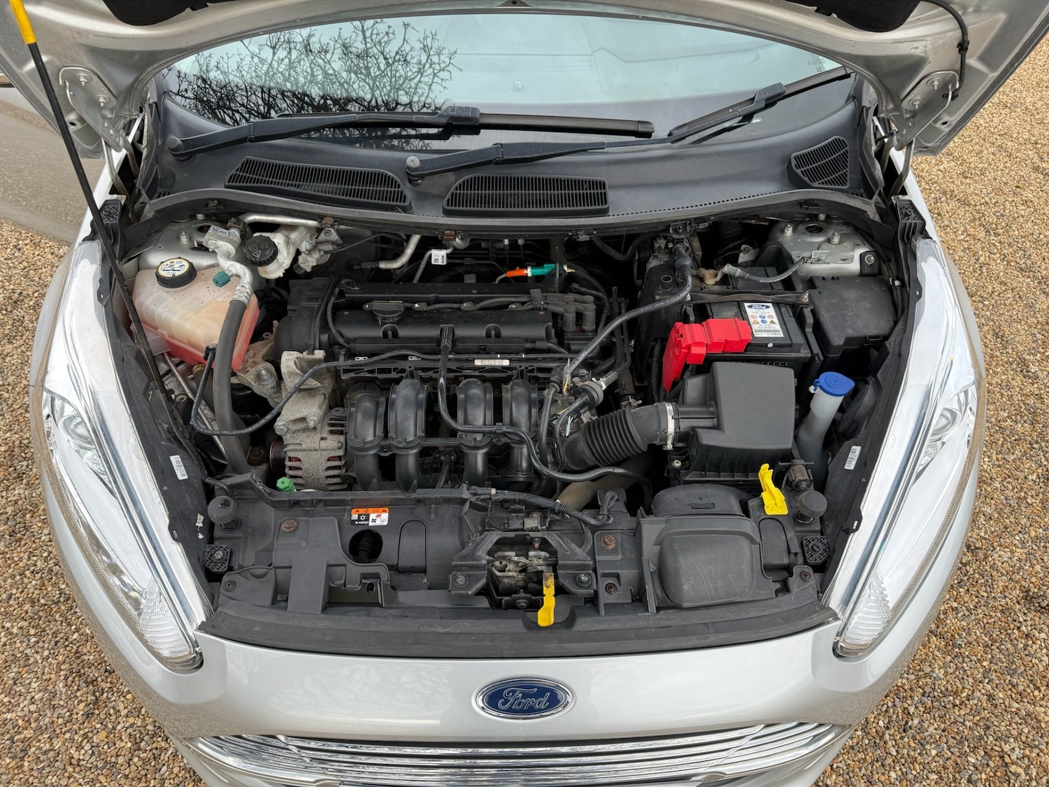 Used Ford Fiesta 2017 for sale - 77848200: Photo 32