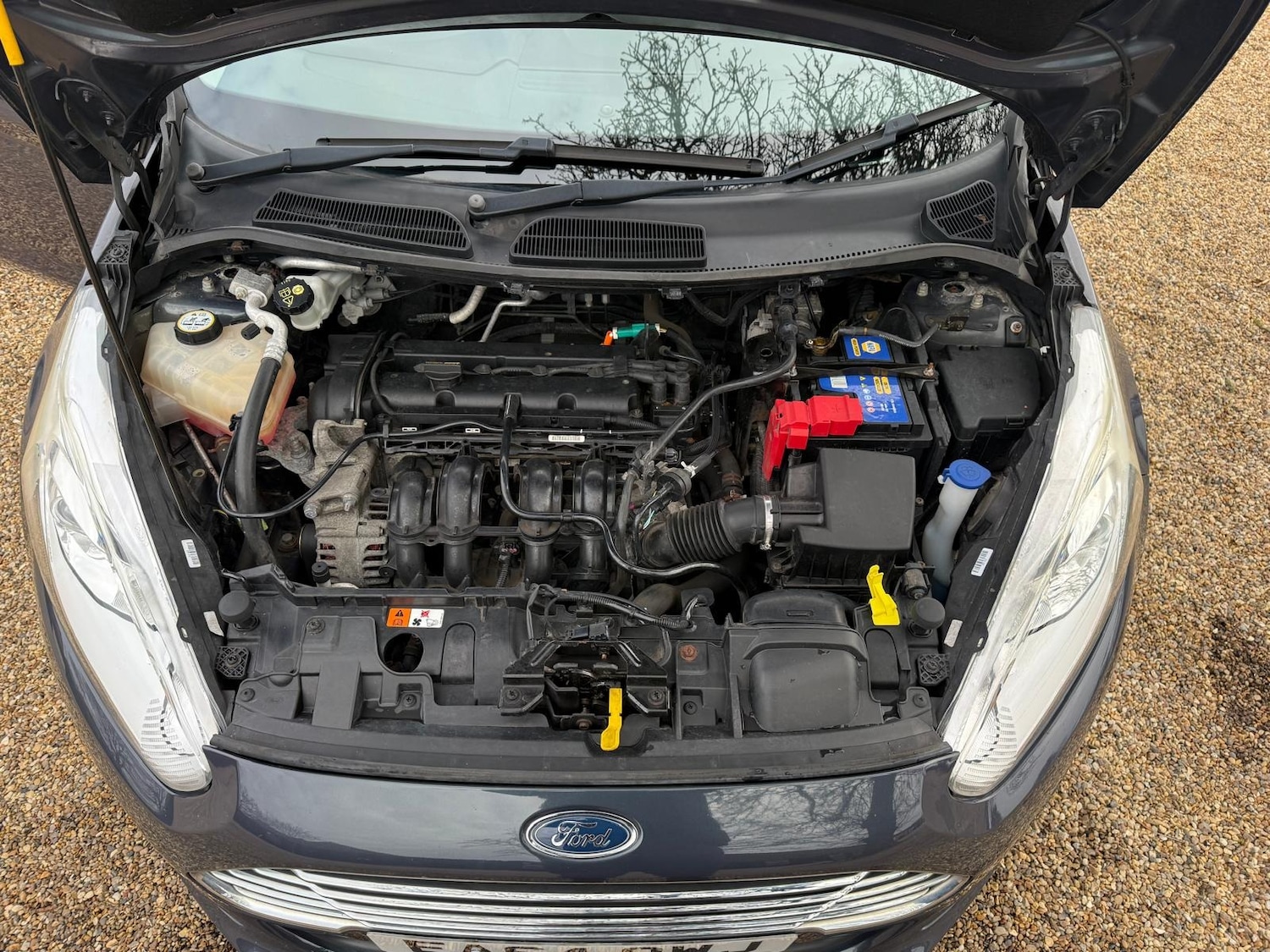 Used Ford Fiesta 2014 for sale - 78091019: Photo 34