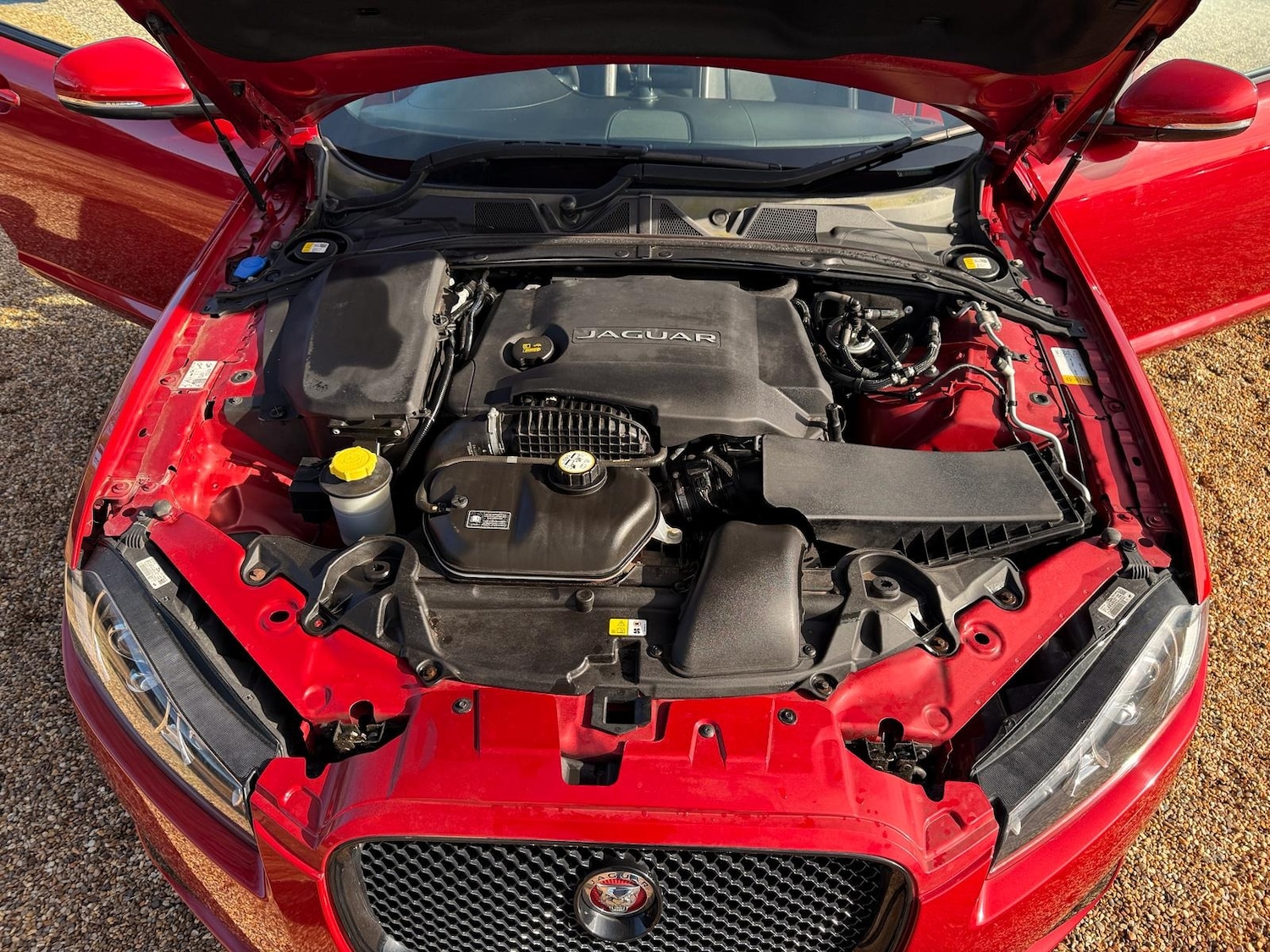 Used Jaguar XF 2014 for sale - 77729843: Photo 13