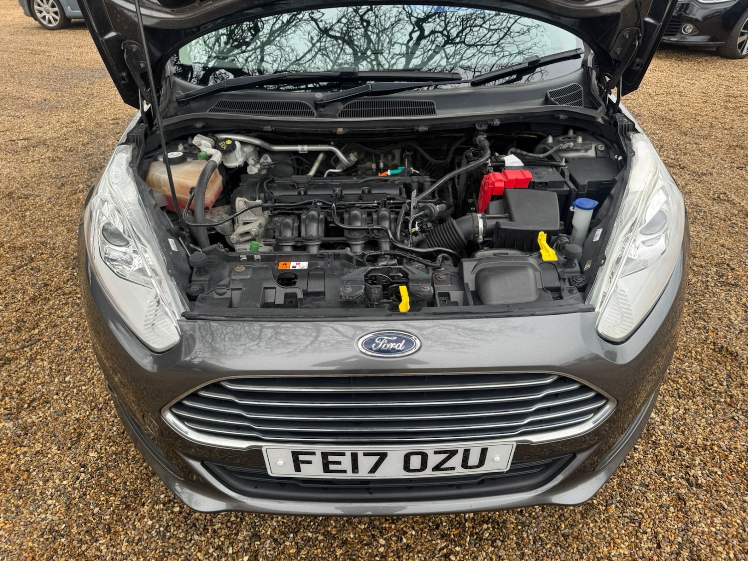 Used Ford Fiesta 2017 for sale - 77617794: Photo 57