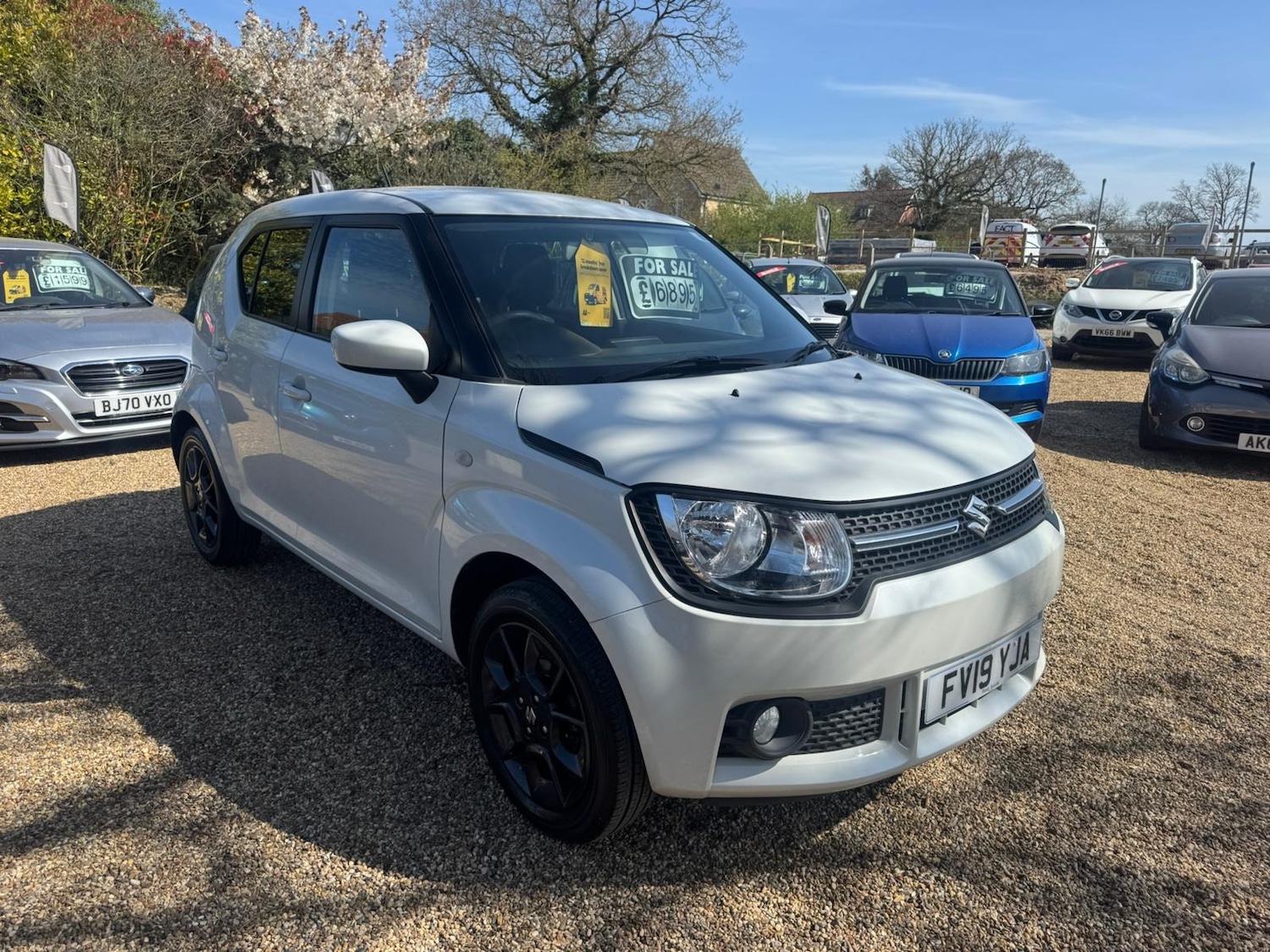 Used Suzuki Ignis 2019 for sale - 78165982: Photo 3