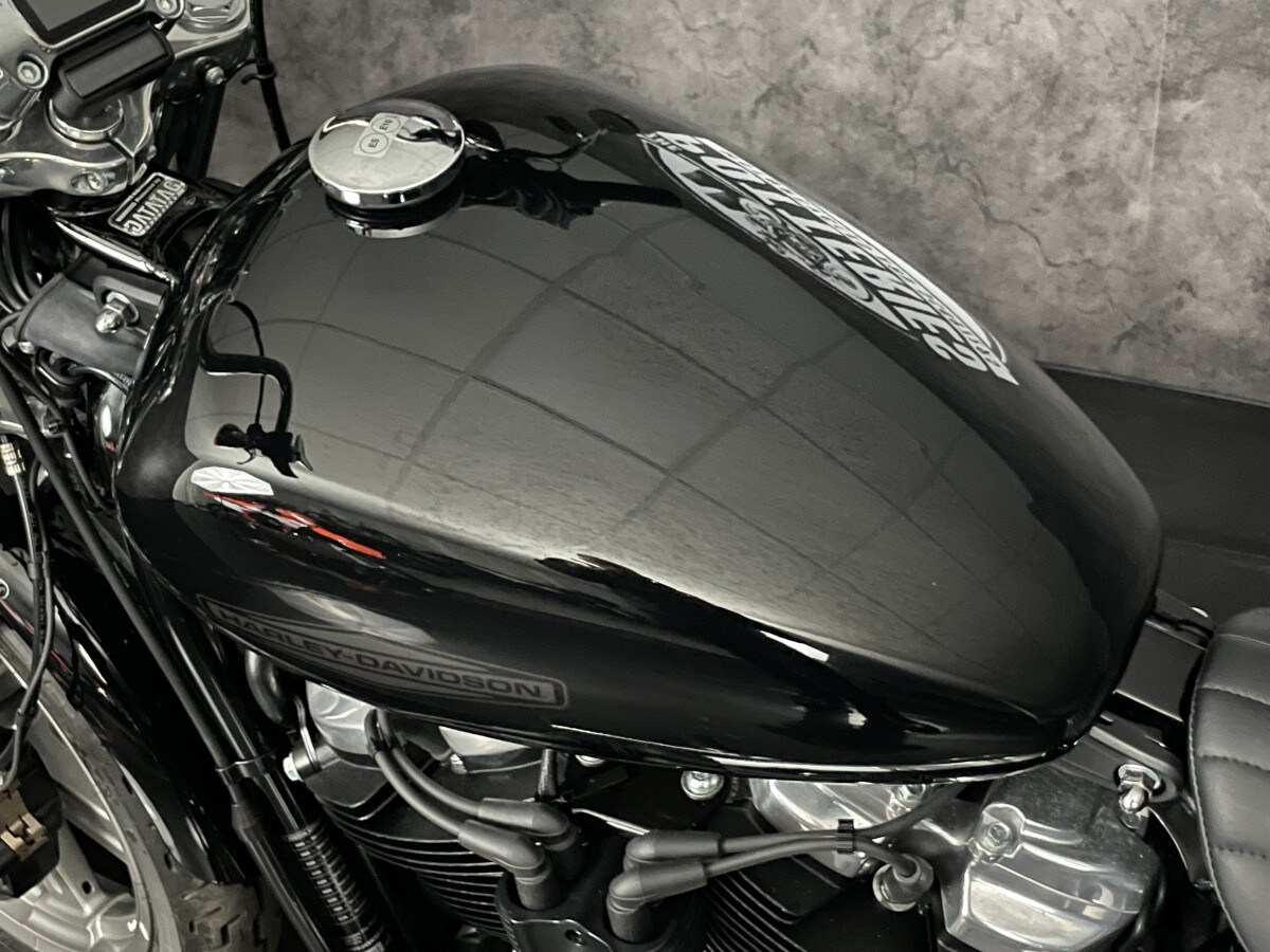 Used Harley-Davidson FXST SOFTAIL STANDARD 1745 2023 for sale - 78396319: Photo 8